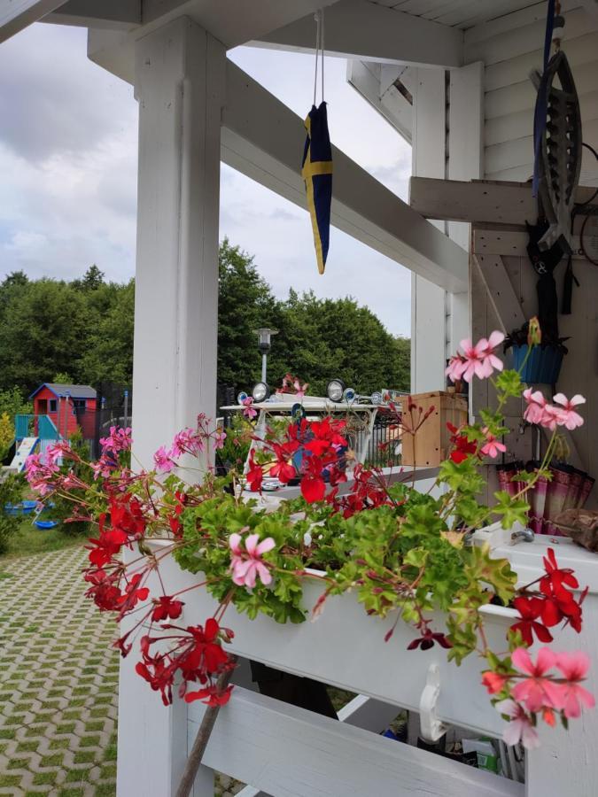 Domki U Pana Zielonki Rusinowo  Esterno foto