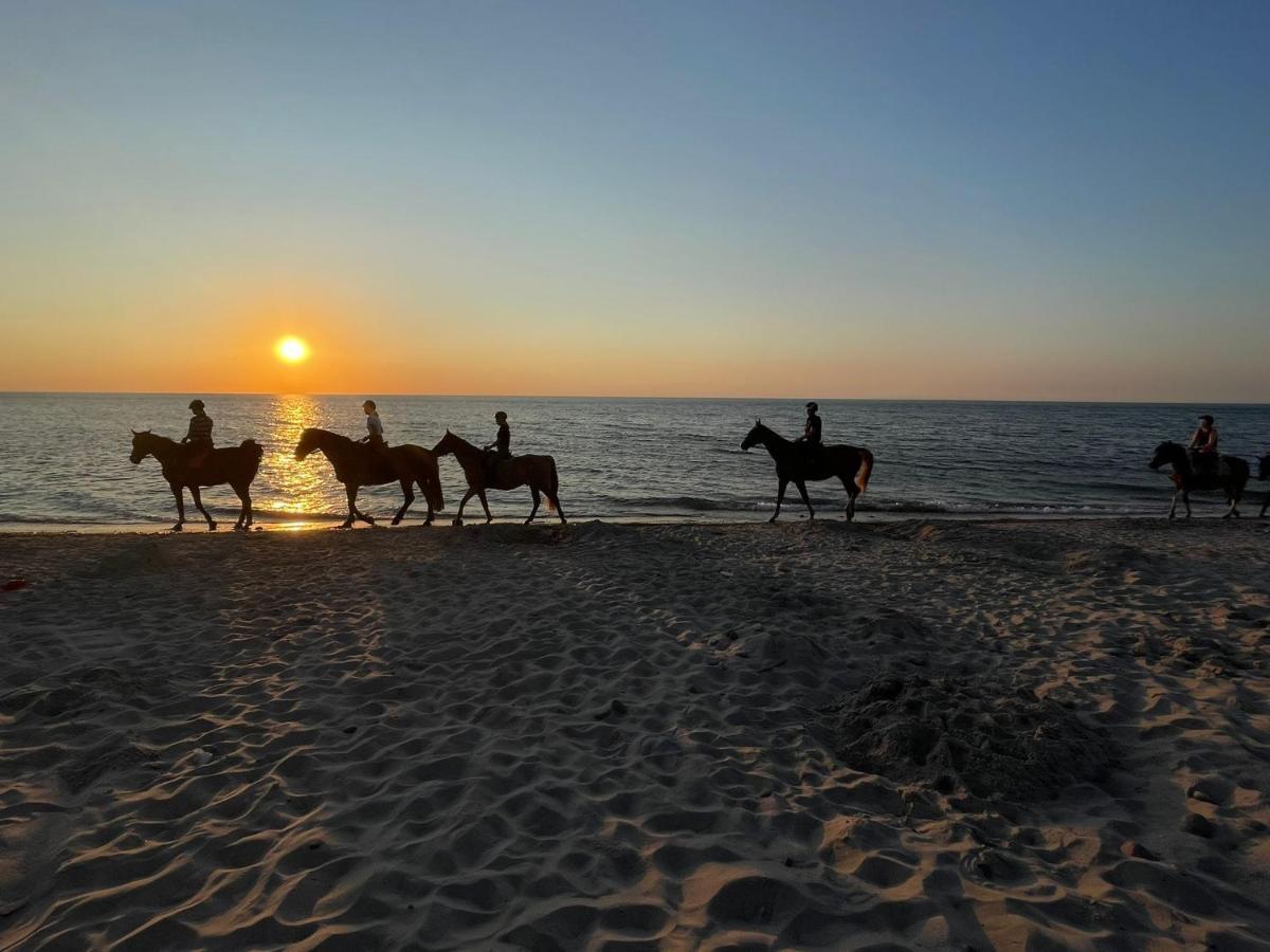 Domki U Pana Zielonki Rusinowo  Esterno foto